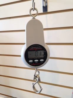 Digital Hanging Scale 75kg