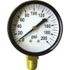 GAUGE 200 PSI 1/4 LM2" DIAL ST -Professional Agricultural Equipment Store a33c975d 53ff 47d4 90c7 6786f6ca4de0